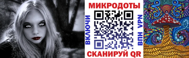 Купить где  Сарапул  Галлюциногенные грибы Cubensis 